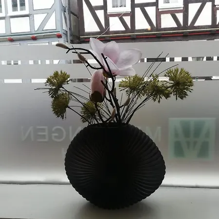 Apartment Schlafladen